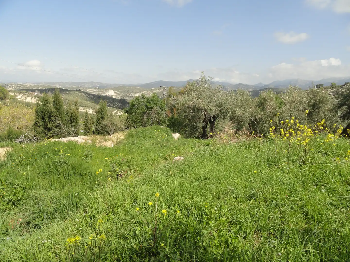 Land for sale in La Iruela