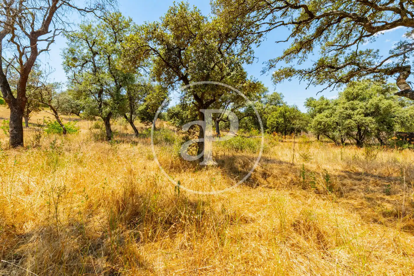 Residential land for sale in Ciudalcampo