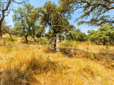 Terreno residencial en venta en Ciudalcampo