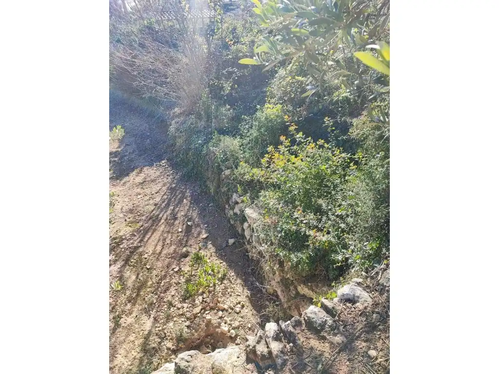 Terreno residencial en venta en Calle Ceps Dels, imagen 7