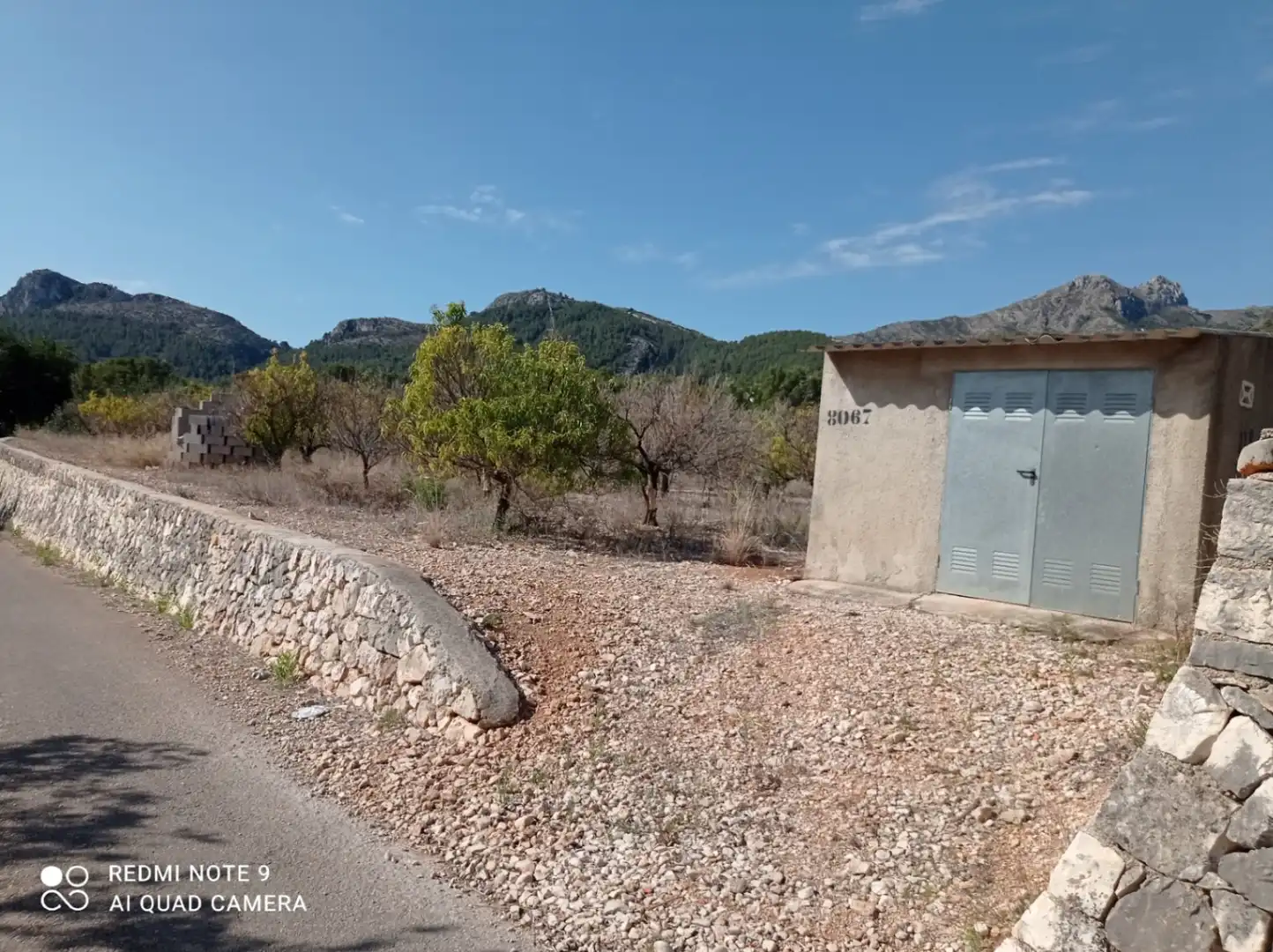 Residential land for sale in Tormos, imagen 12