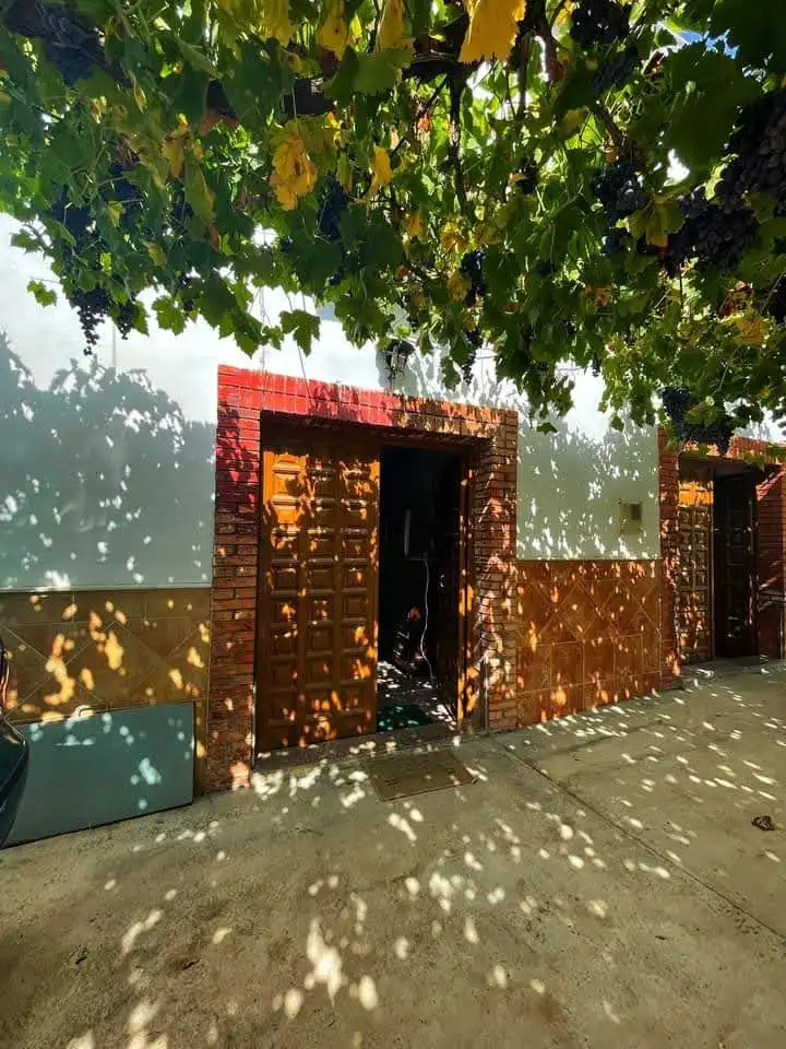 Vista exterior de Finca rústica en venta en Cabra con Jardín privado