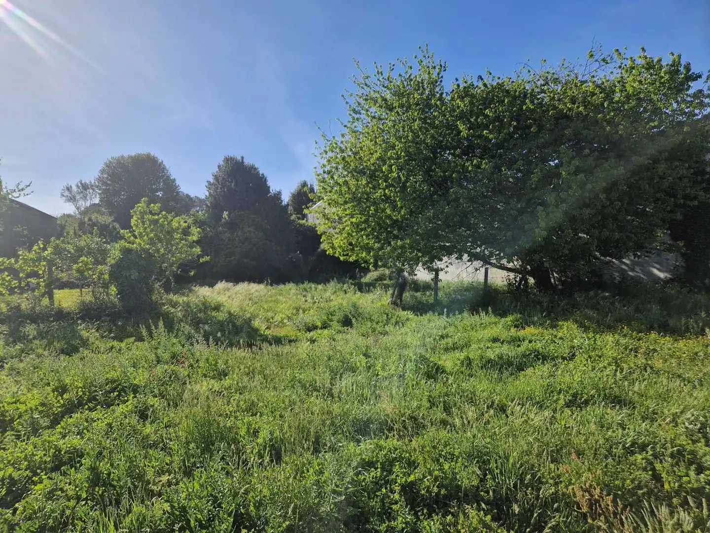 Lands and plots for sale in Brión, imagen 5