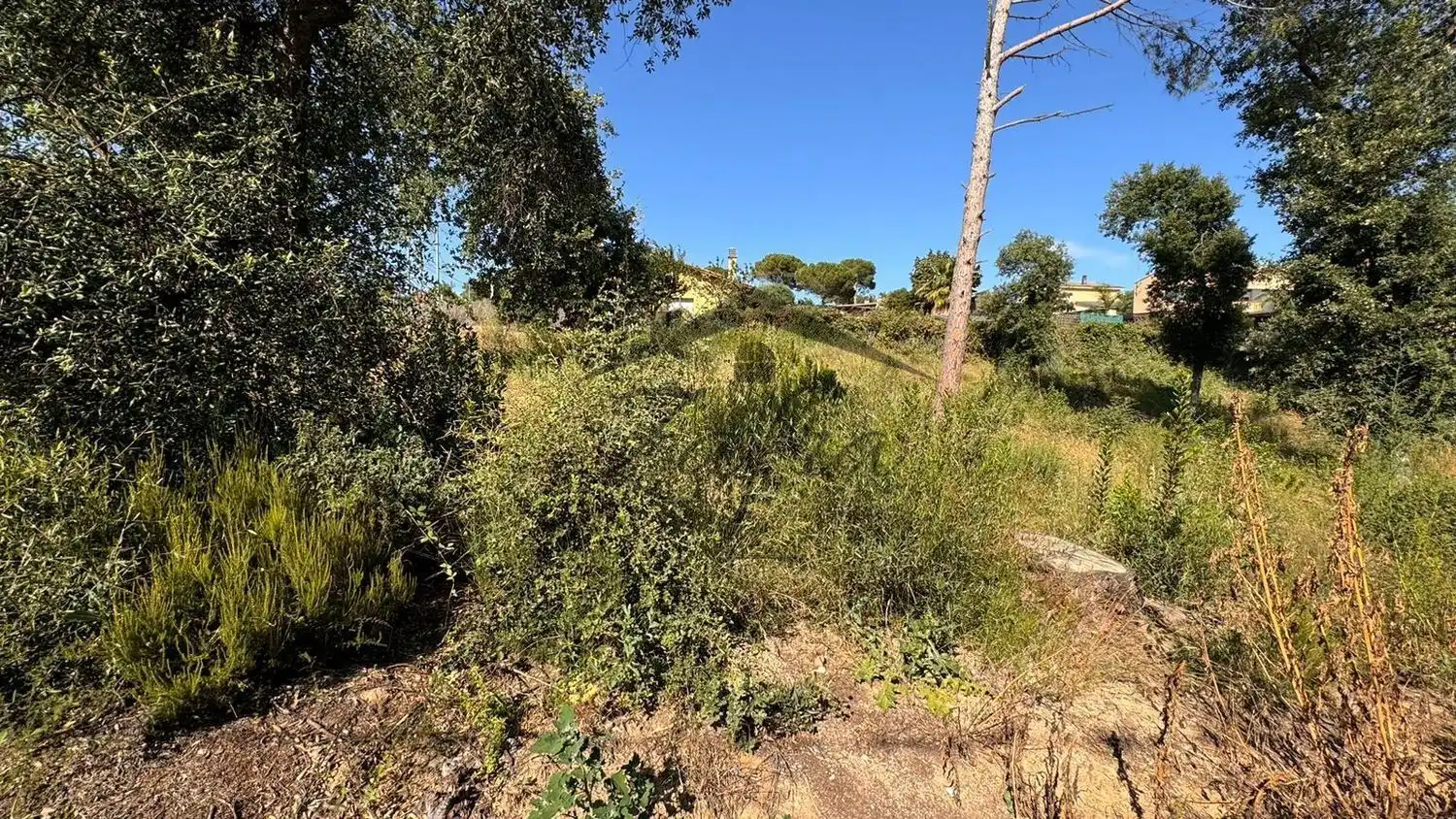 Residential land for sale in Sils, imagen 7