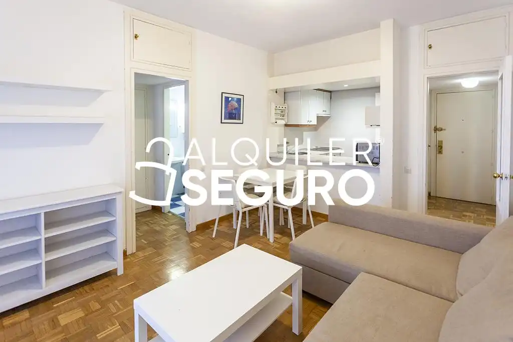 Living room of Flat for rent in Madrid  with Heating, Terrace and Furnished
