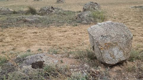 oferta de finca  , immagine 2
