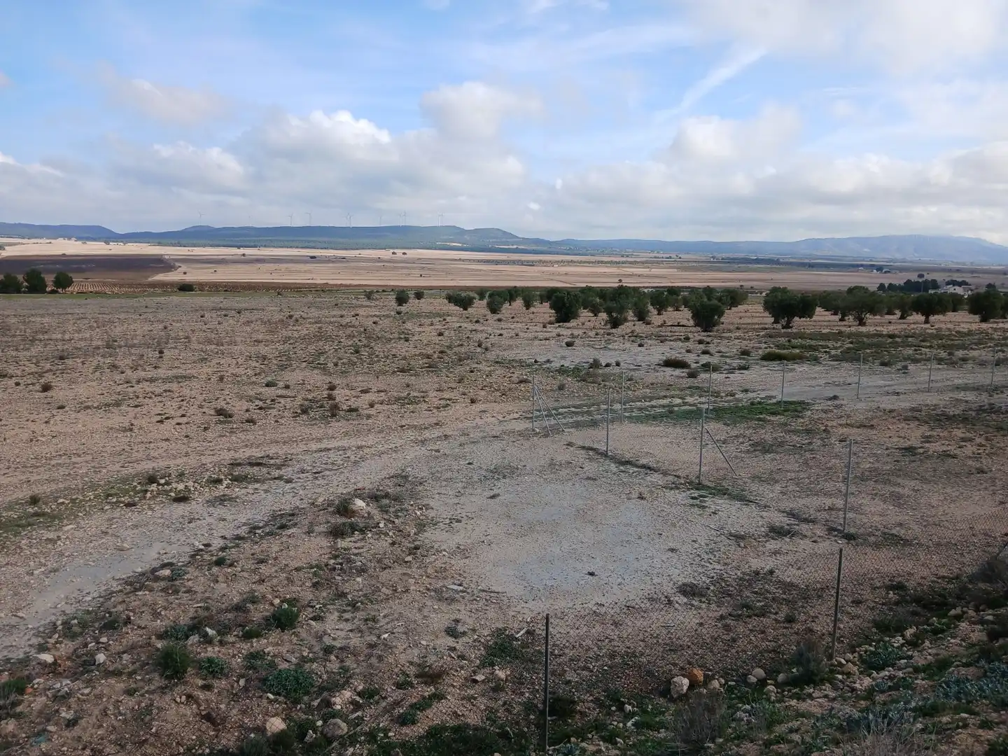 Residential land for sale in Yecla, imagen 30