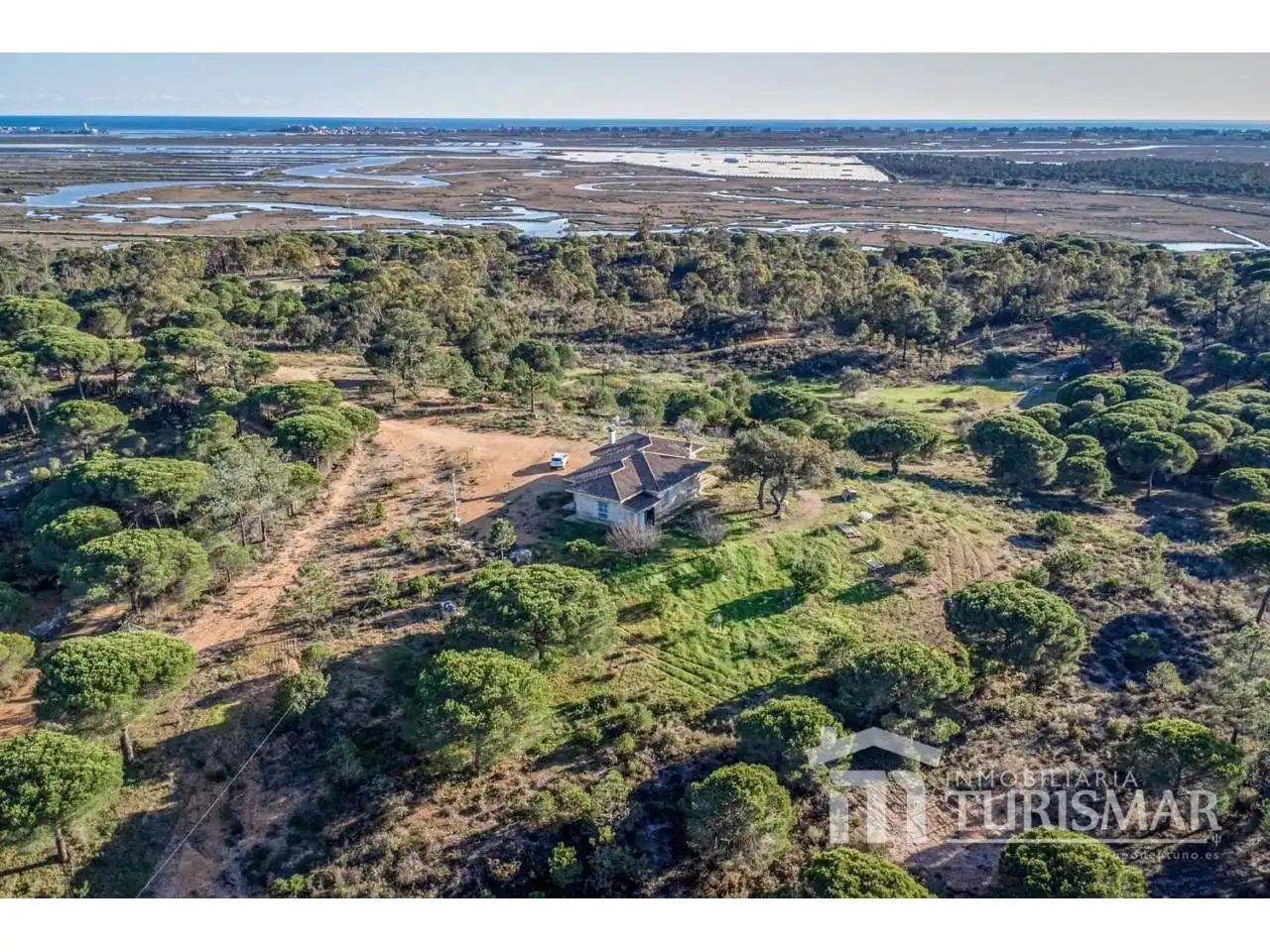 Villa in vendita a Carretera Campo 1, imagen 35