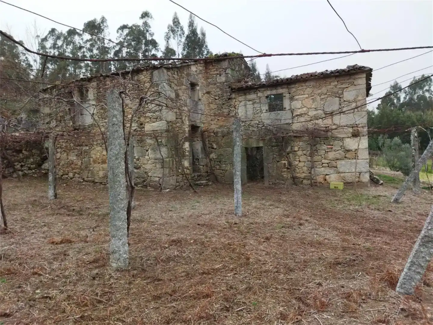 Vista exterior de Finca rústica en venta en Cuntis