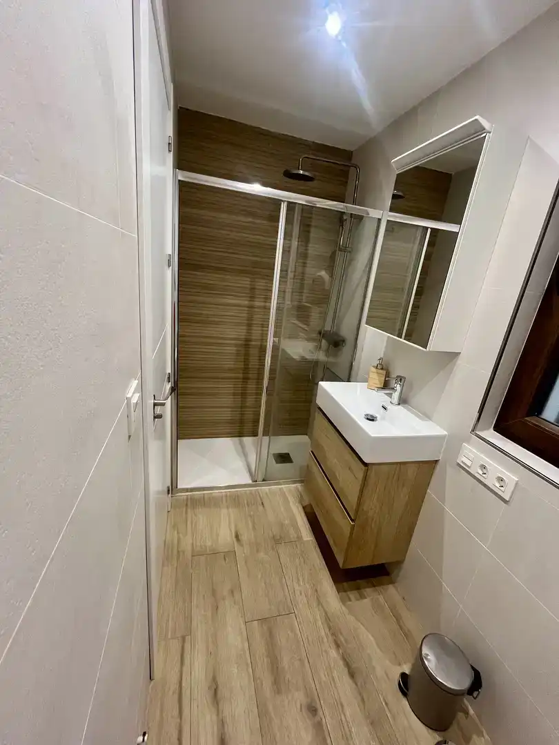 Bathroom of Flat for rent in Centro