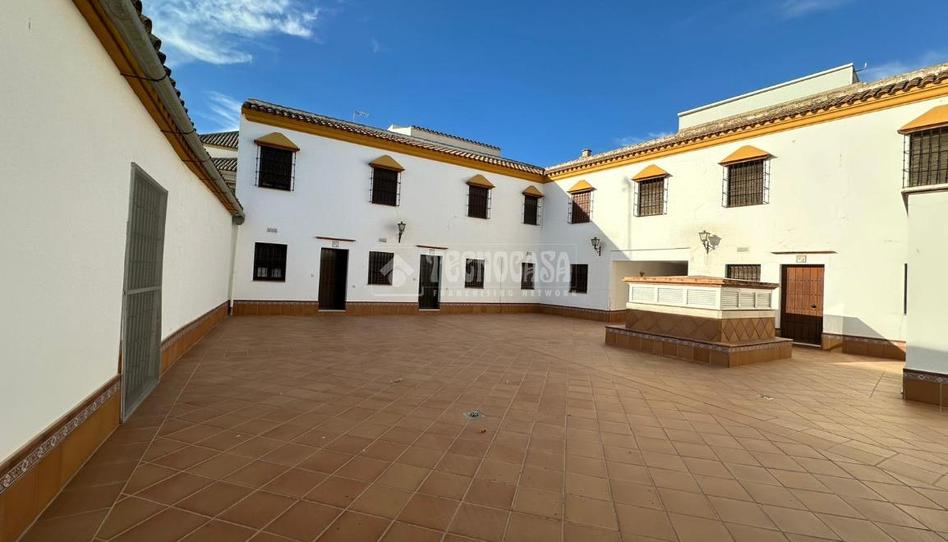 Foto 1 de Casa o xalet de lloguer a C. Sta. Ana, Osuna, Sevilla