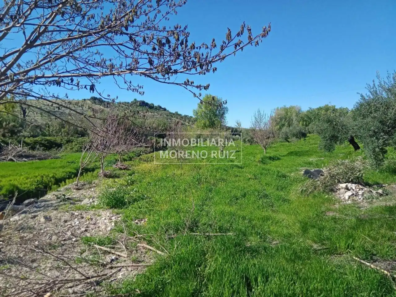 Terreny residencial en venda a Luque