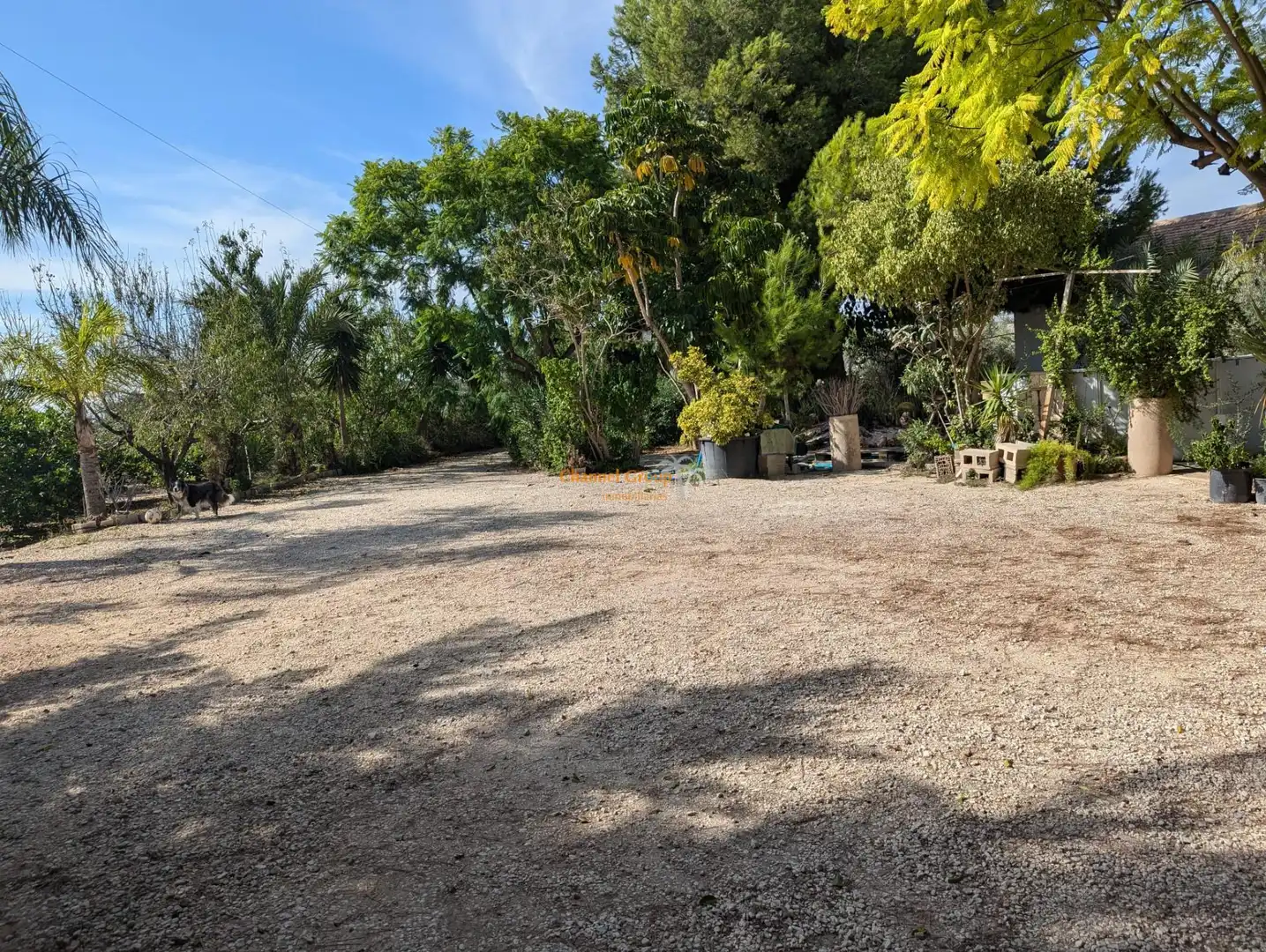 Country homes for sale in Centro