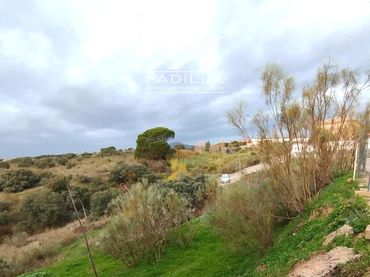 Terreno rústico en venta en RIO ALAGON