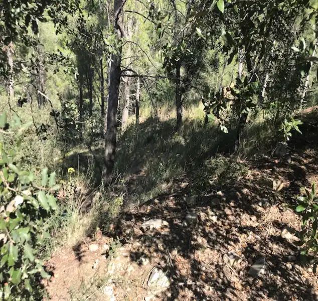 Terreno residenziale in vendita a Ferreteries, imagen 6