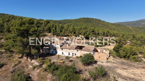 LUXURY COUNTRY ESTATE  FINCA PRIVADA DE 440 HECTÁREAS EN REQUENA  AGUA, BOSQUE, VIÑEDO Y POSIBILIDAD CINEGÉTICA, immagine 2
