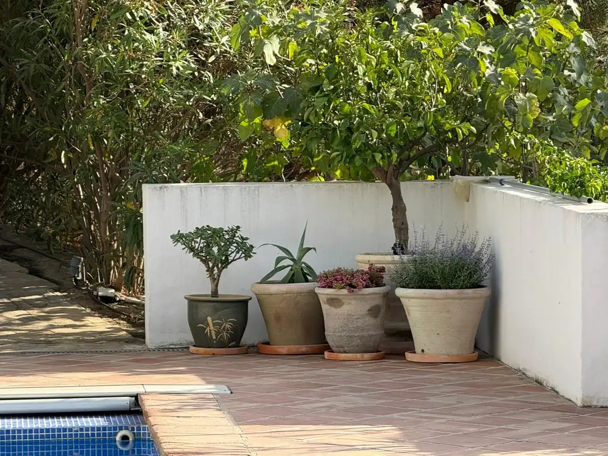 Chalet con piscina en venta en Mijas pueblo, imagen 8