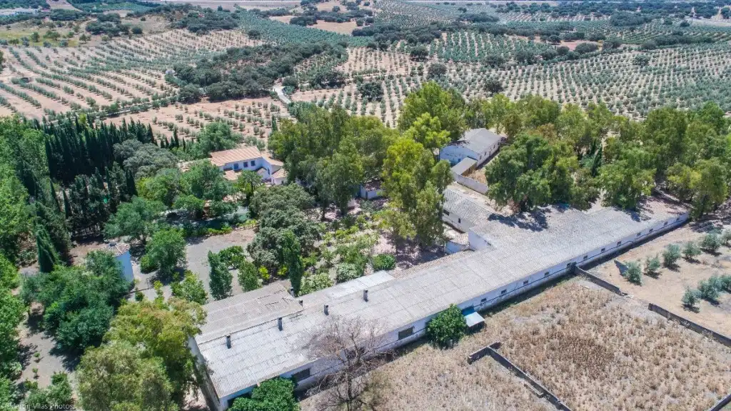 Casa rústica amb terrassa en venda a Archidona, imagen 5