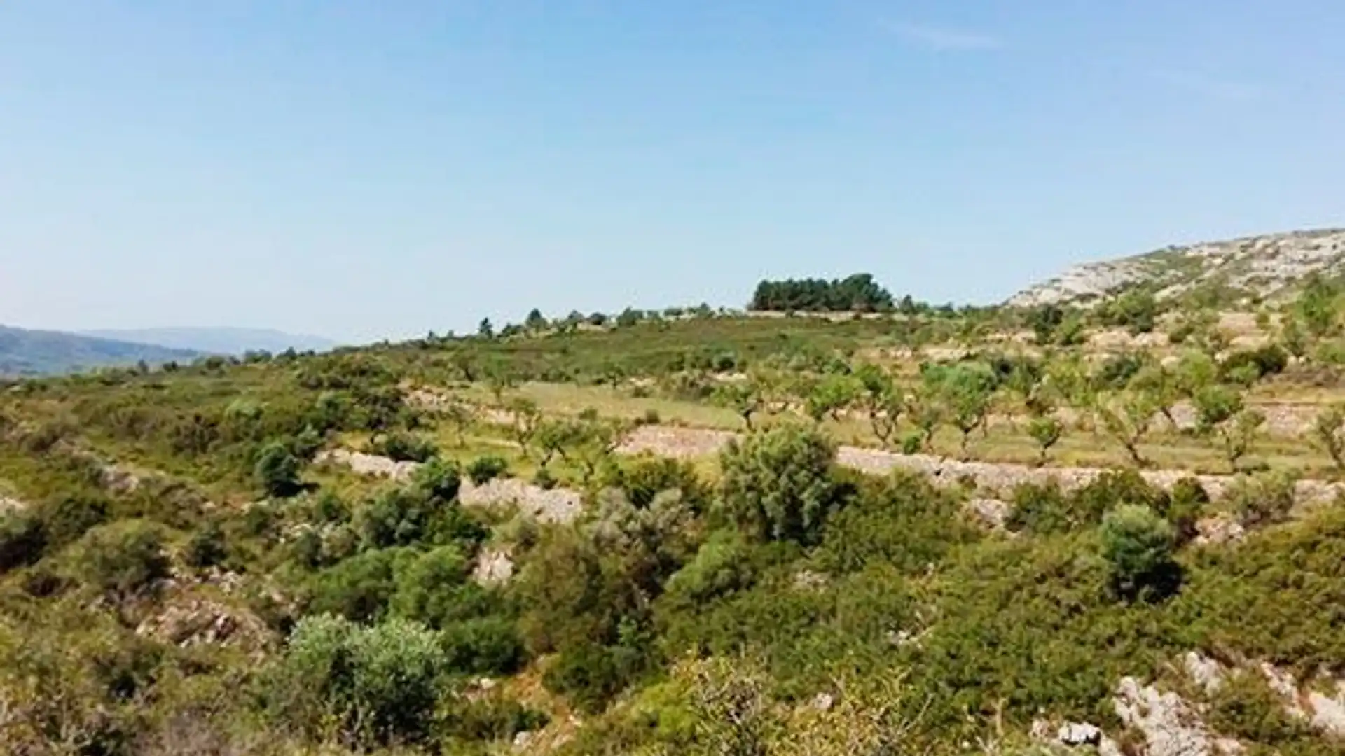 Houses for sale in Sant Mateu