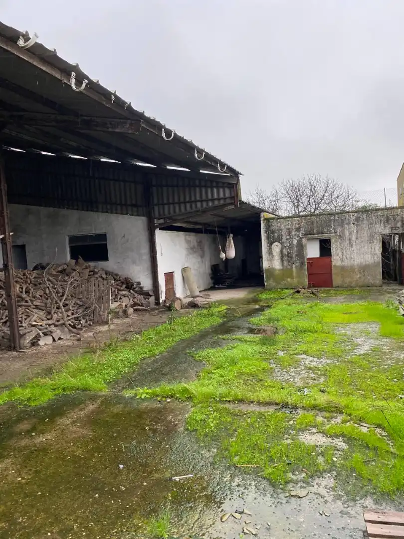 Industrial building for sale in Carretera Jarandilla 35, imagen 8