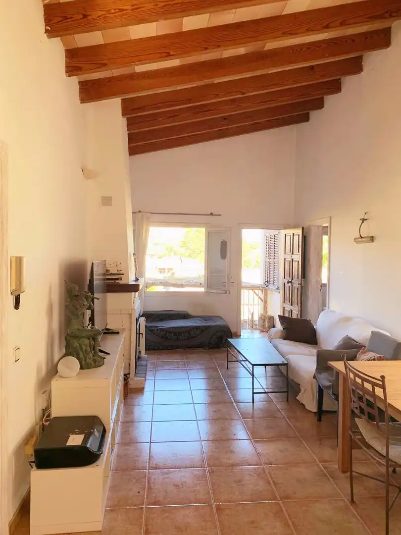 Sala d'estar de Casa o xalet en venda en  Palma de Mallorca amb Piscina