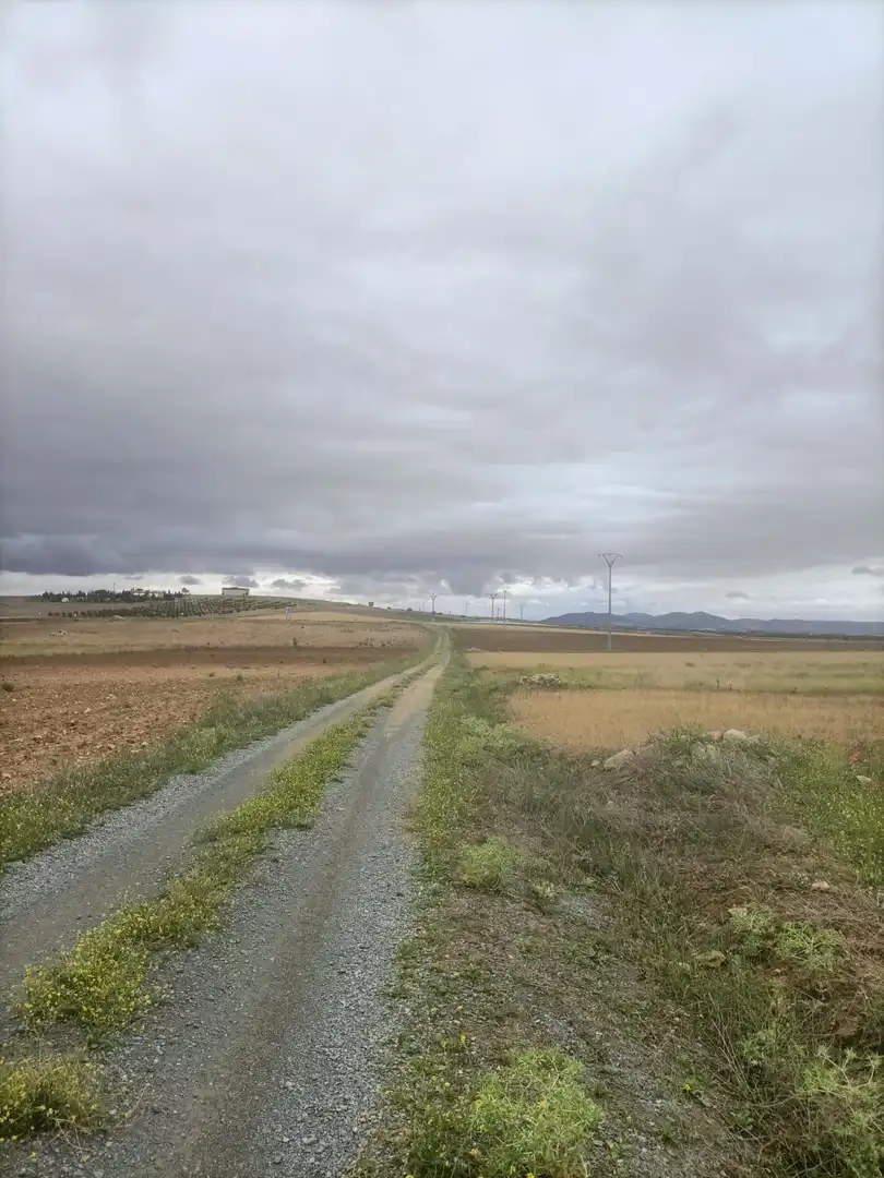 Terreno rustico in vendita a Nambroca, imagen 3