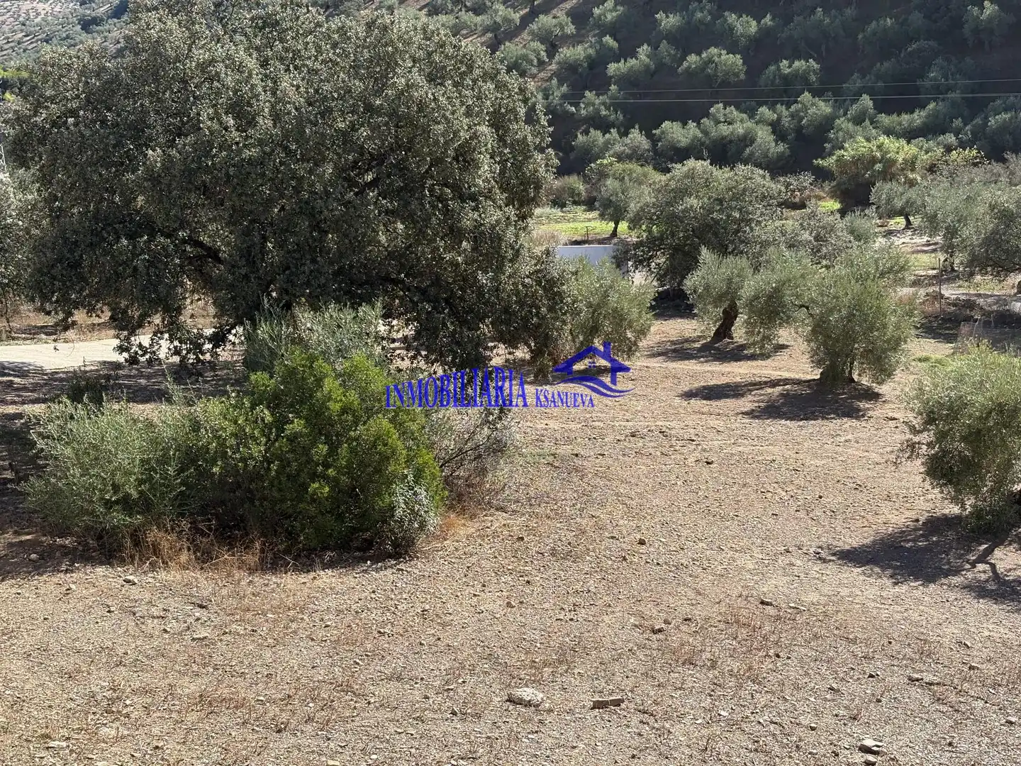 Finca rústica en venta en Montoro con Aire acondicionado, Calefacción y Trastero