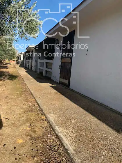 Vista exterior de Finca rústica en venta en Alcalá de Guadaira con Piscina y Amueblado