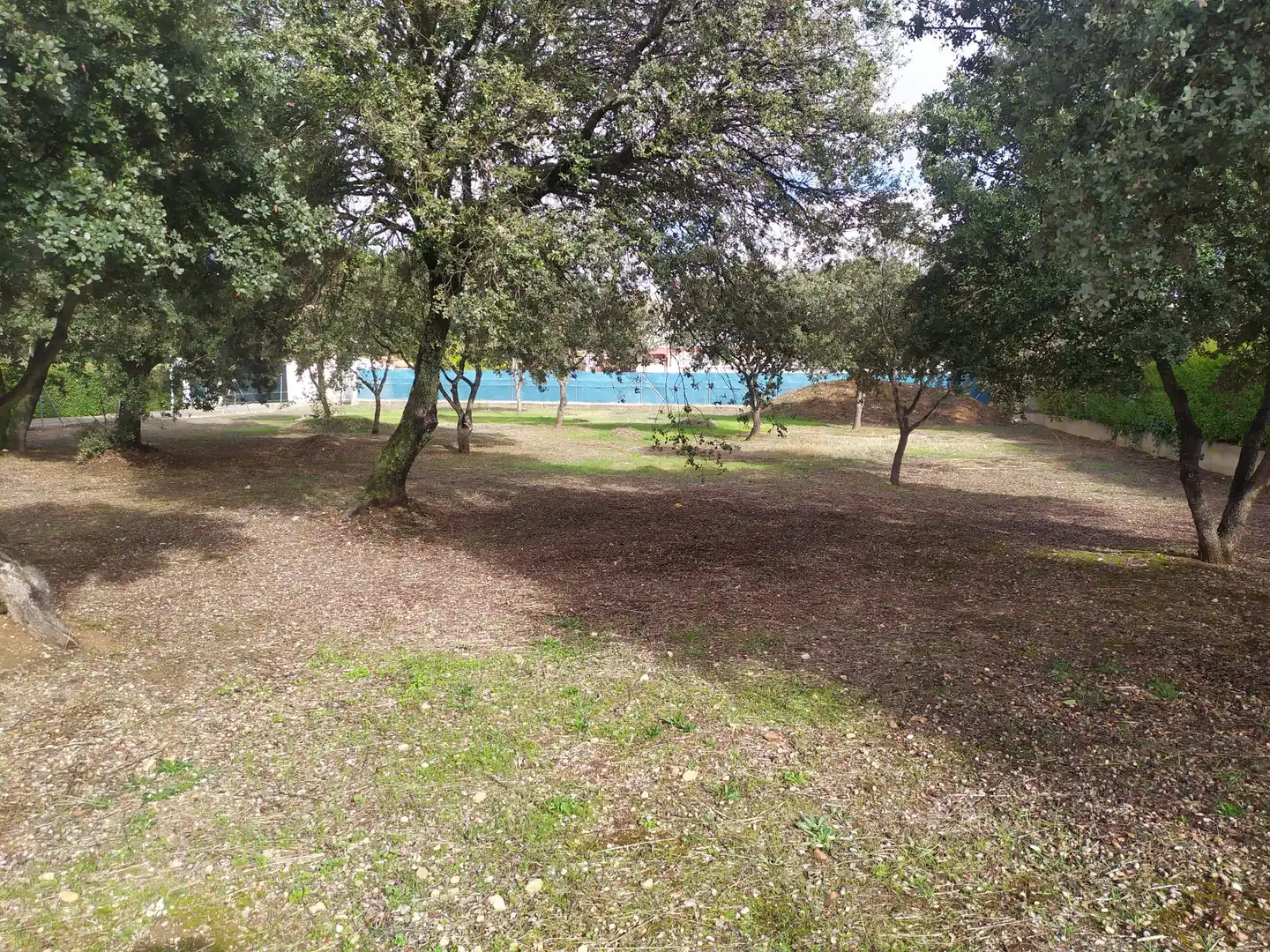 Terreny residencial en venda a Florida de Liébana, imagen 7