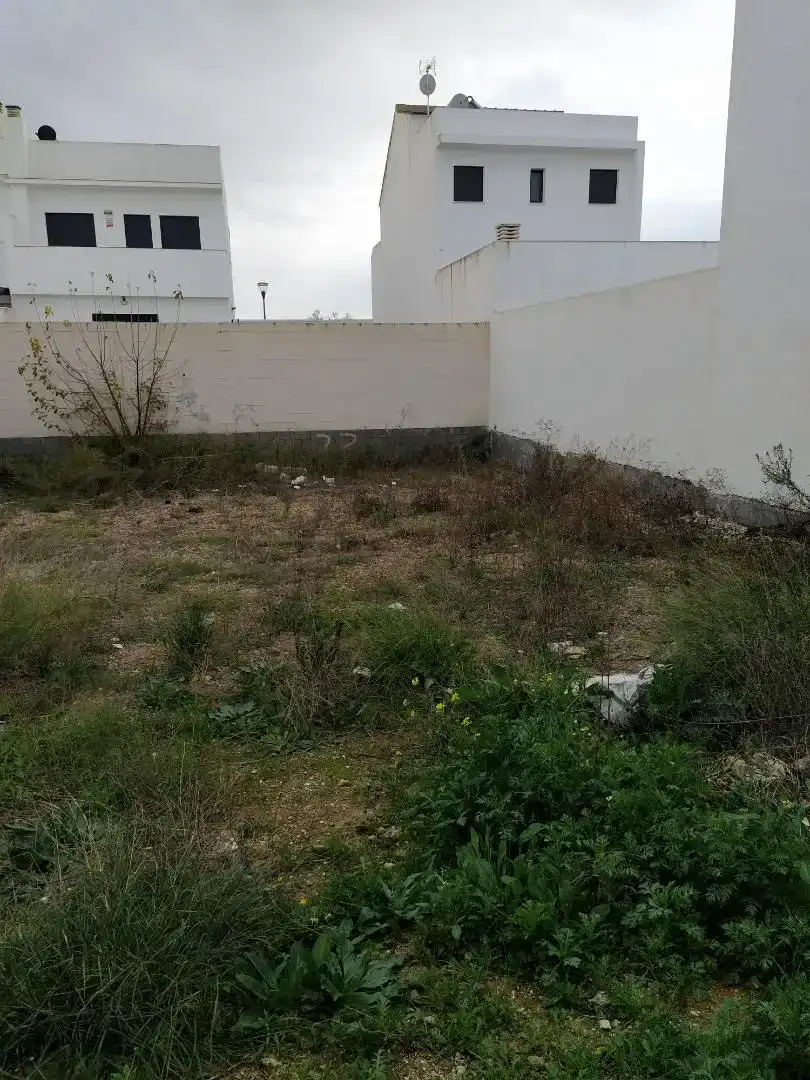 Finca rústica en venda en Alcalá de Guadaira