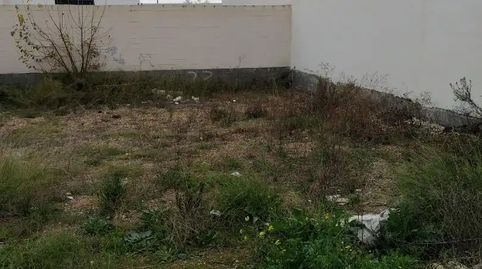 Foto 3 de Finca rústica en venda a Calle Cuarteron, 24, Los Molinos, Alcalá de Guadaira
