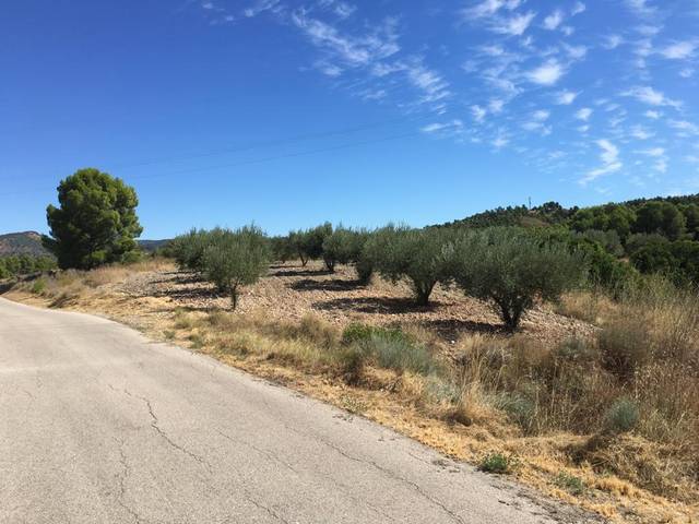 Terreno en Venta en Cofrentes