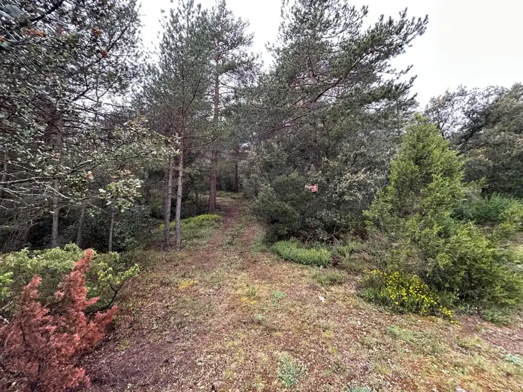 Country homes for sale in El Toro