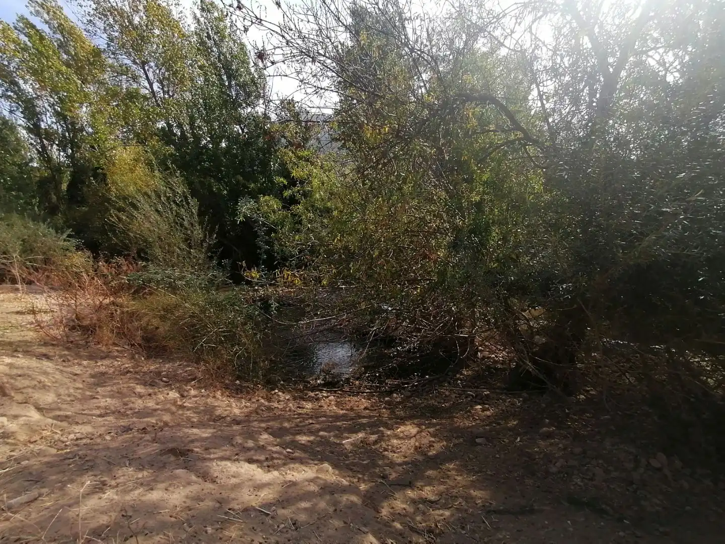 Terreno en venta en Ardales