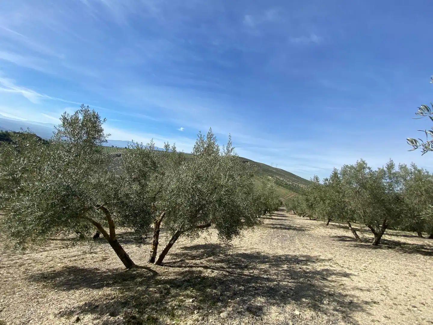Terreno en venta en Villanueva Mesía