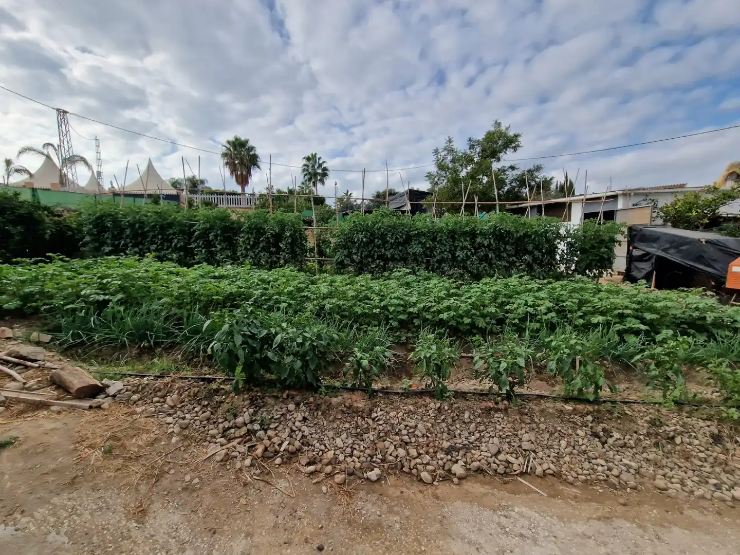 Terreno rustico in vendita a El Romeral - Peñón de Zapata, imagen 39