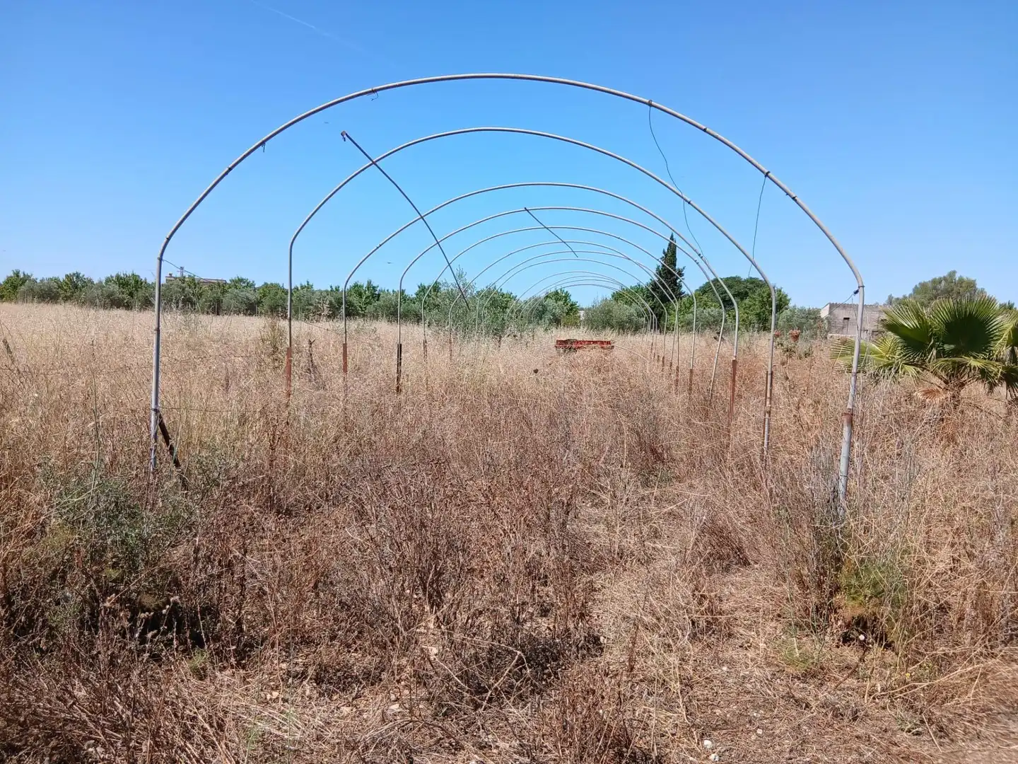 Finca rústica en venta en Consell con Jardín privado