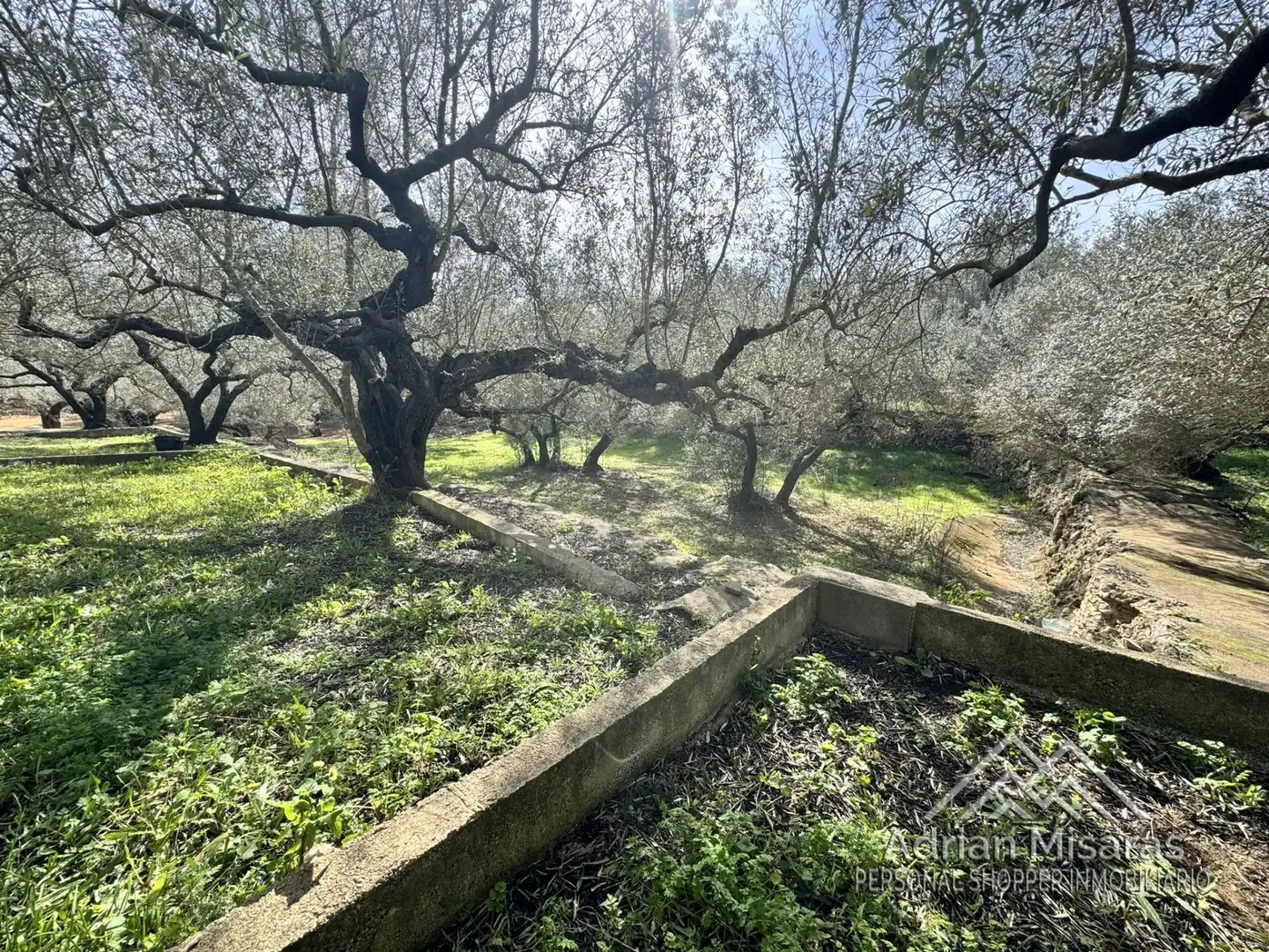 Terreno rústico en venta en L'Aldea, imagen 38