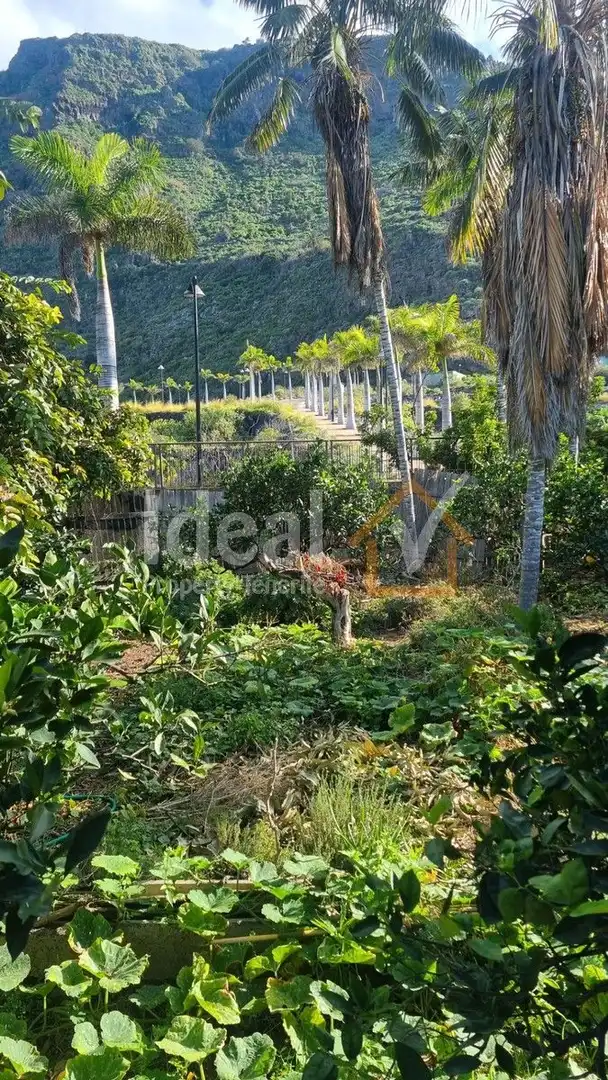 Casa o chalet en venta en Garachico con Jardín privado