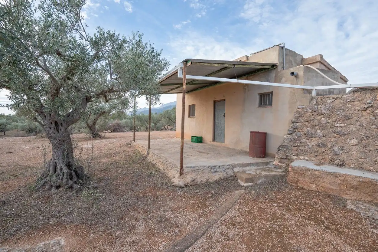 Terrain rustique à vendre à Xerta, imagen 4