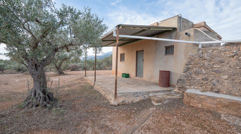 Finca de olivos con posibilidad de agua de riego, immagine 4