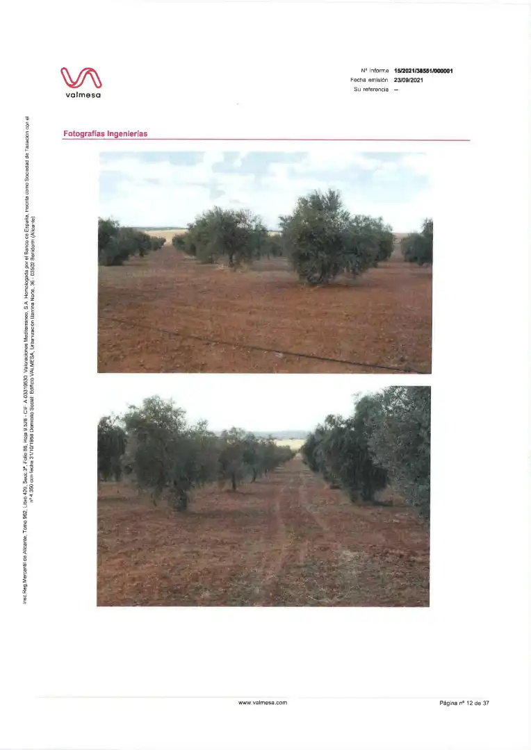 Terreni e lotti in vendita a Pedanías de Badajoz, imagen 13