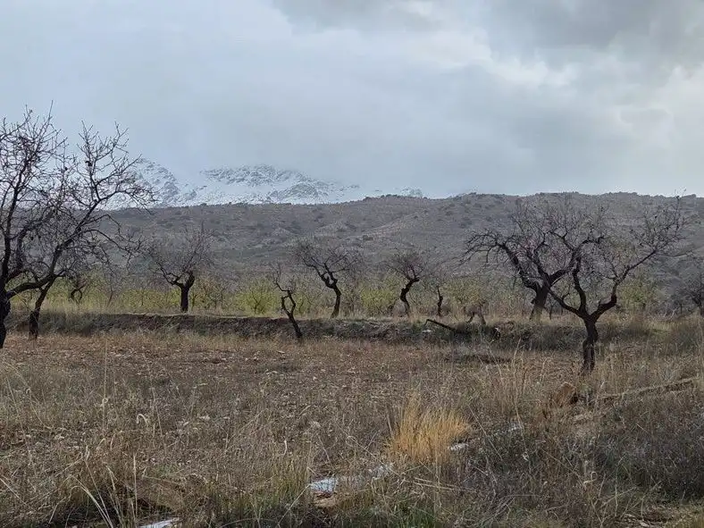 Grundstücke zum Verkauf in Abrucena