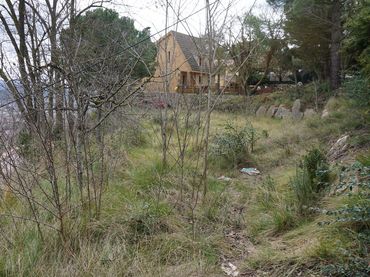 Terreni e lotti in vendita a Creu