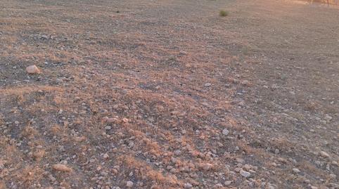 Photo 5 of Premises for sale in  Vivero, El-ds Perin, 5, Perín, Murcia