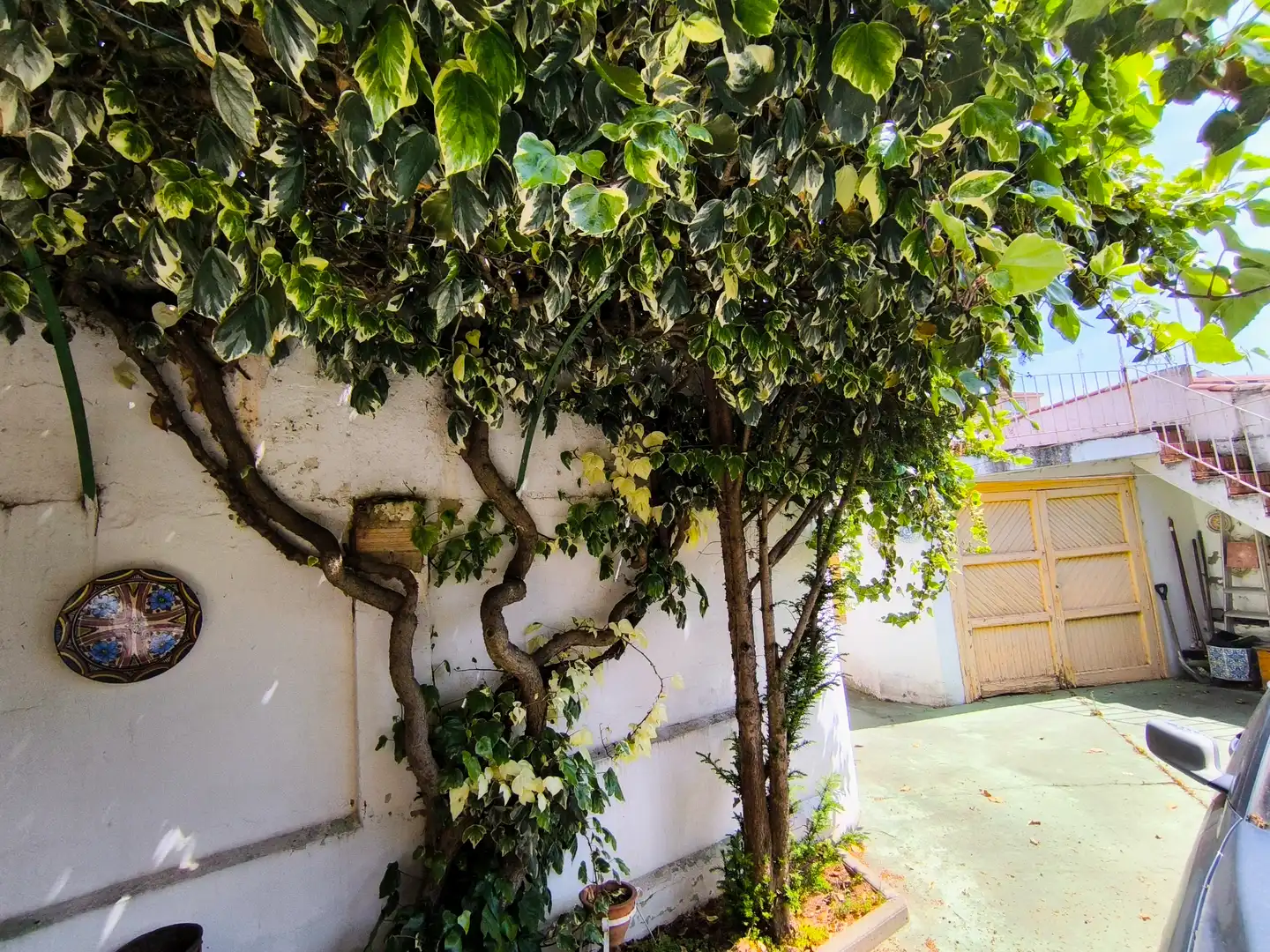 Jardí de Casa o xalet en venda en Palencia amb Calefacció, Jardí privat i Parquet