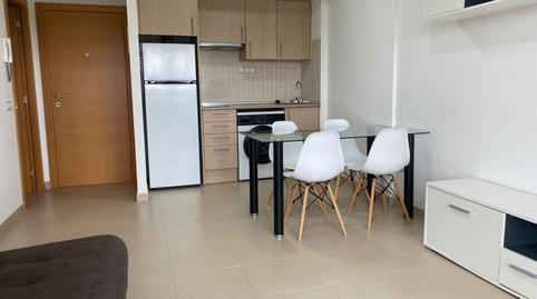 Photo 2 of Apartment to rent in Riu Segre, Deltebre, Tarragona