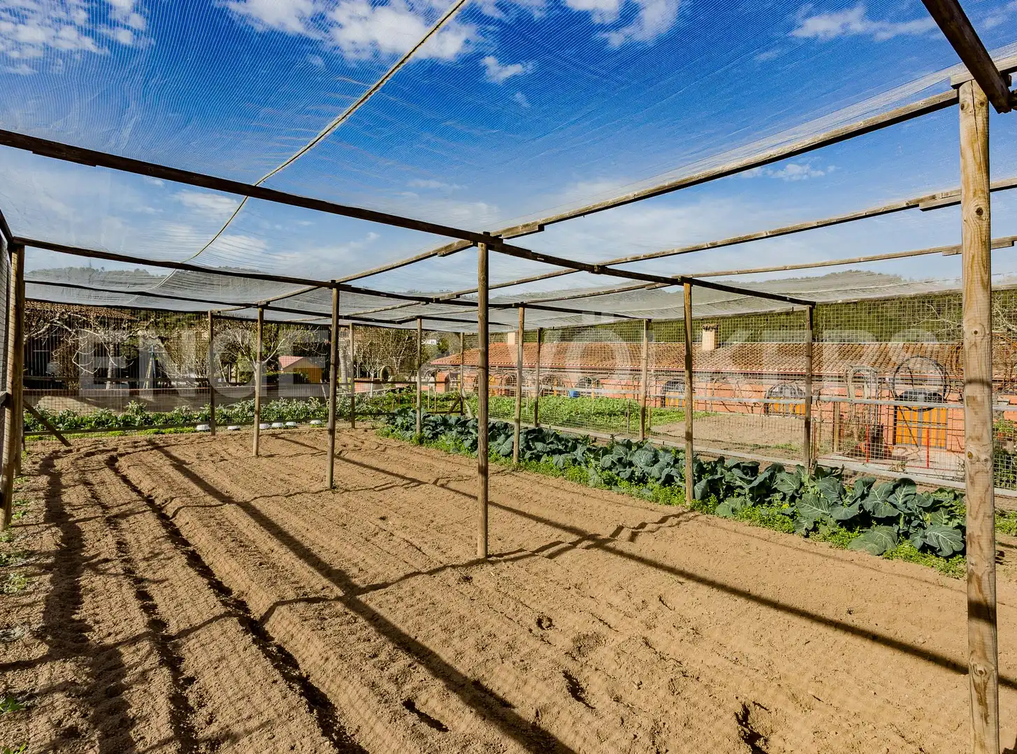 Casa amb terrassa en venda a Torrelles de Llobregat, imagen 12