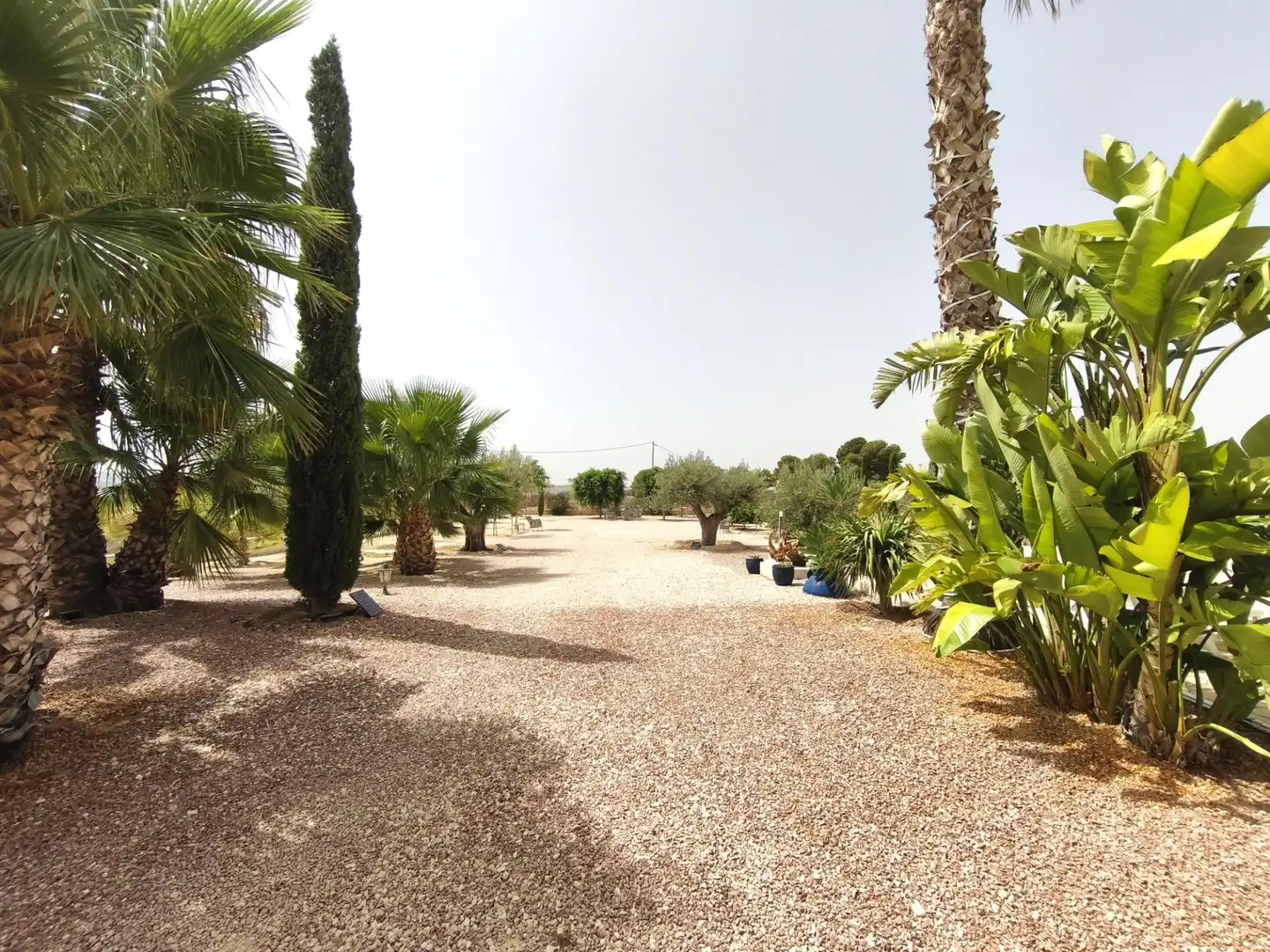 Jardín de Casa o chalet en venta en Molina de Segura