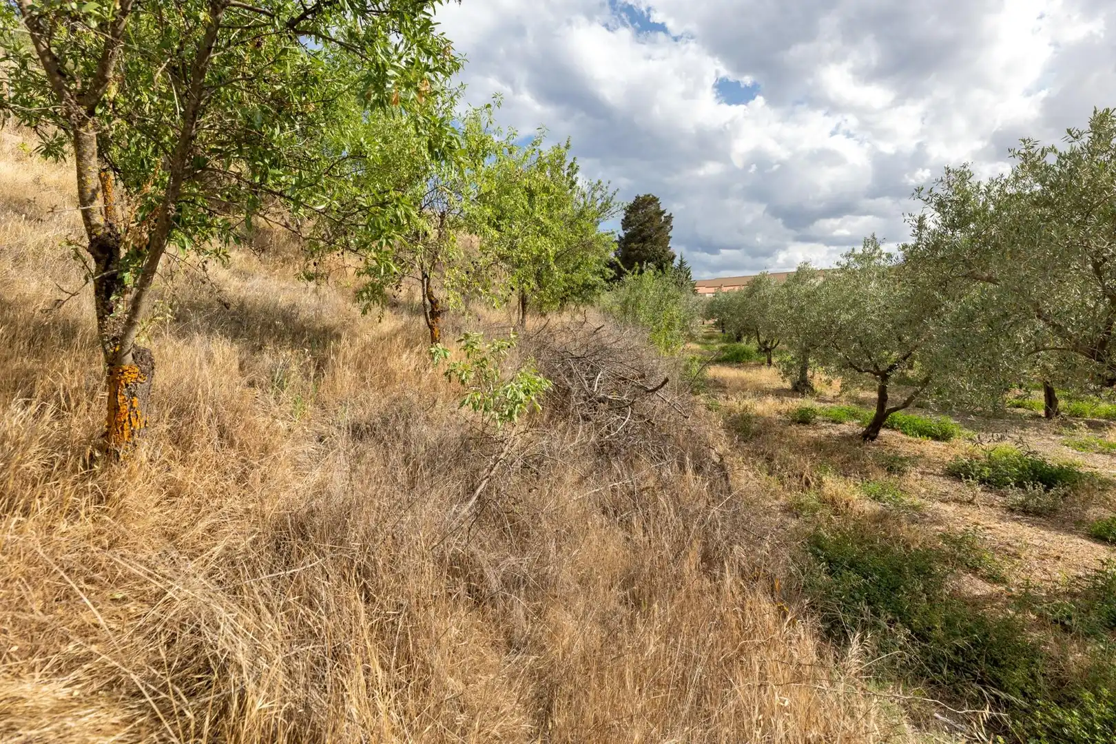 Terreno rustico in vendita a Calle POL 1, PARC 176, imagen 14